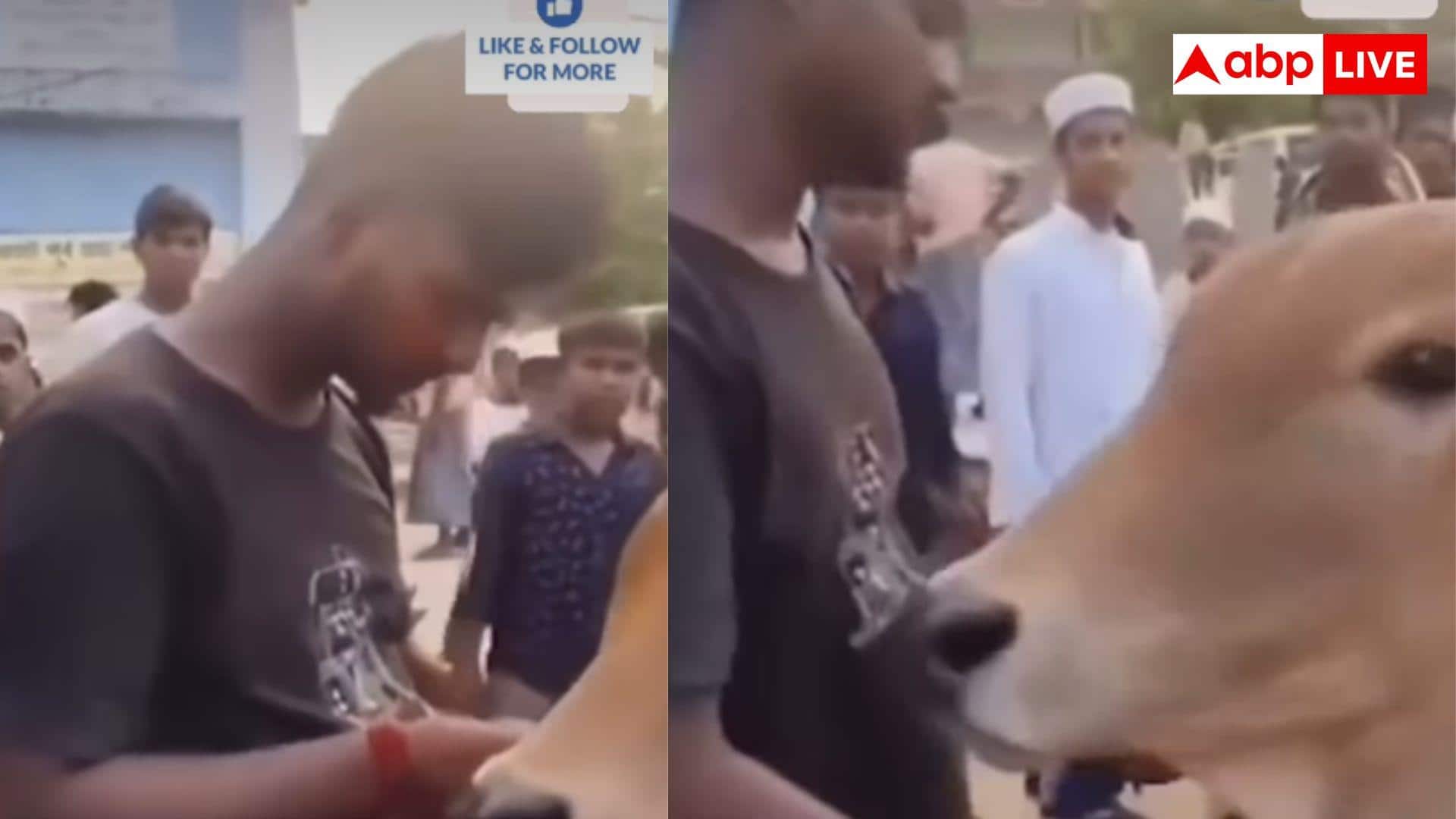 Cow Market Viral Video: गाय बेचने 'बकरा मंडी' पहुंचा हिंदू, मुस्लिम शख्स का जवाब सुन गदगद हो गया इंटरनेट