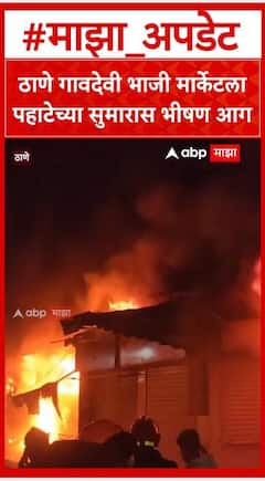 Thane Fire : ठाणे गावदेवी भाजी मार्केटला पहाटेच्या सुमारास भीषण आग