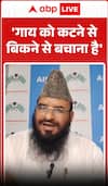 Sajid Rashidi on Cow Protection: “We Must Save Cows from Slaughter and Sale”