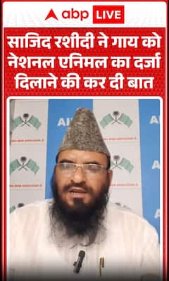 Sajid Rashidi Demands National Animal Status for Cow