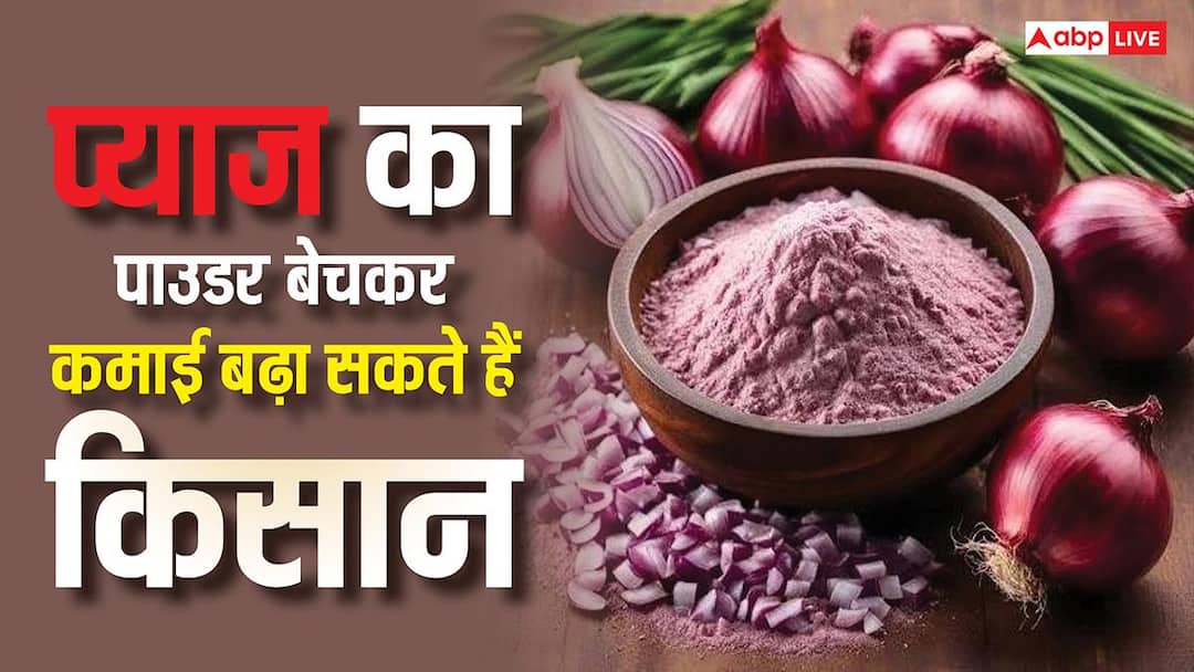 अब प्याज बनाएगा करोड़पति! घर में ही पाउडर बनाकर हर महीने लाखों कमा रहे किसान अब प्याज बनाएगा करोड़पति! घर में ही पाउडर बनाकर हर महीने लाखों कमा रहे किसान