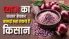 अब प्याज बनाएगा करोड़पति! घर में ही पाउडर बनाकर हर महीने लाखों कमा रहे किसान