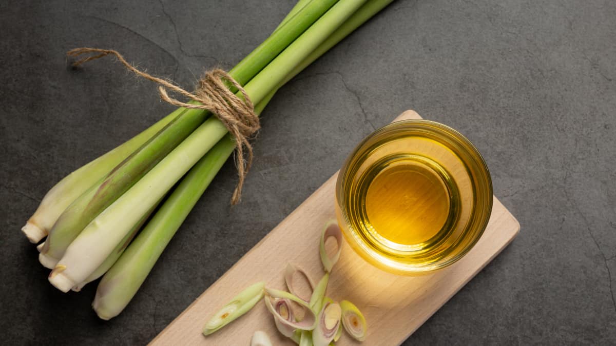 International Tea Day 2026: 7 Healthy Herbal Teas That Support Your Mind And Body