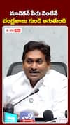 మావిగన్‌ పేరు వింటేనే.. చంద్రబాబు గుండె ఆగుతుంది..