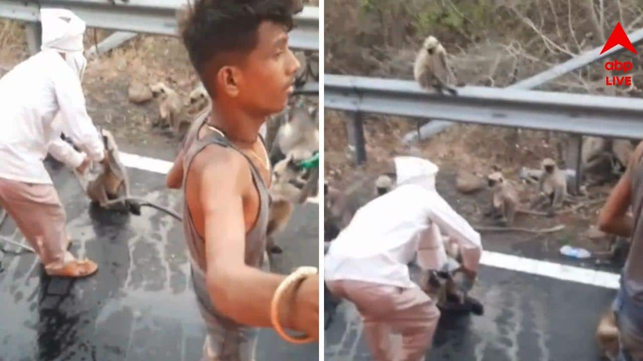 বাসের সামনে দাঁড়িয়ে থাকা তৃষ্ণার্ত বাঁদরদের জল খাওয়াদের বাস-যাত্রীরা। (ছবি-X ভিডিয়ো থেকে নেওয়া স্ক্রিনশট)