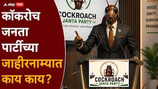 Cockroach Janta Party Manifesto: पक्ष बदलणाऱ्या आमदार-खासदारांवर 20 वर्षे बंदी, महिलांना 50 टक्के आरक्षण; कॉकरोच जनता पार्टीच्या जाहीरनाम्यात काय?