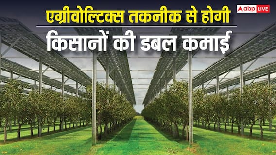 खेतों से ही बना सकते हैं बिजली और फसल भी करेगी मालामाल, एग्रीवोल्टिक्स से बरसेगा पैसा खेतों से ही बना सकते हैं बिजली और फसल भी करेगी मालामाल, एग्रीवोल्टिक्स से बरसेगा पैसा