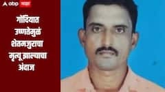 तापमानाचा पारा 45 अंशावर, गोंदिया जिल्ह्यात शेतमजुराचा मृत्यू, उष्णतेमुळं मृत्यू झाल्याचा अंदाज  