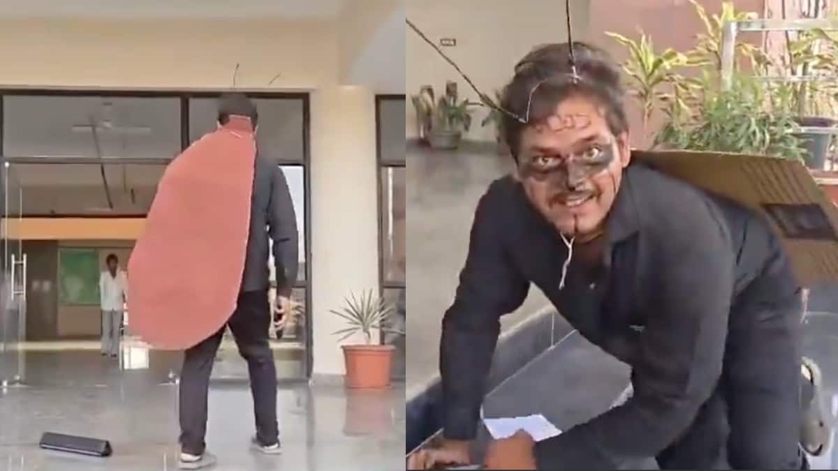 Cockroach Janta Party Effect? Man Dons Cockroach Costume For Protest Outside Mathura's Civic Body Office