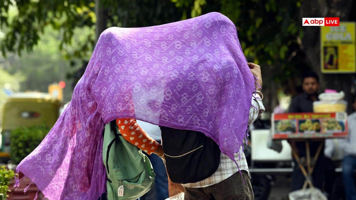 Why Is Delhi Burning Like A Furnace? New Report Reveals Real Reason Behind Heat Stress