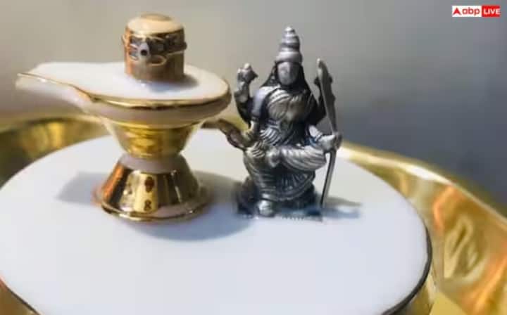 શિવલિંગ સ્થાપિત કર્યા પછી  નિયમિત પૂજા જરૂરી માનવામાં આવે છે. દરરોજ પાણી ચઢાવવું, બેલના પાન ચઢાવવા અને મંત્રોનો જાપ કરવો શુભ માનવામાં આવે છે. જો નિયમિત પૂજા ન કરવામાં આવે તો સ્થાપનાનો સંપૂર્ણ લાભ પ્રાપ્ત થતો નથી.
