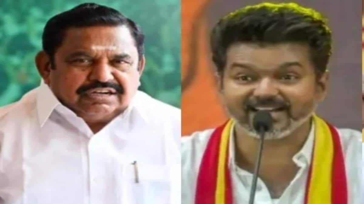 யார் அந்தப் பொய்க்கால் குதிரை? - எடப்பாடி பழனிசாமியை வெளுத்து வாங்கிய தவெகவின் பதிலடி