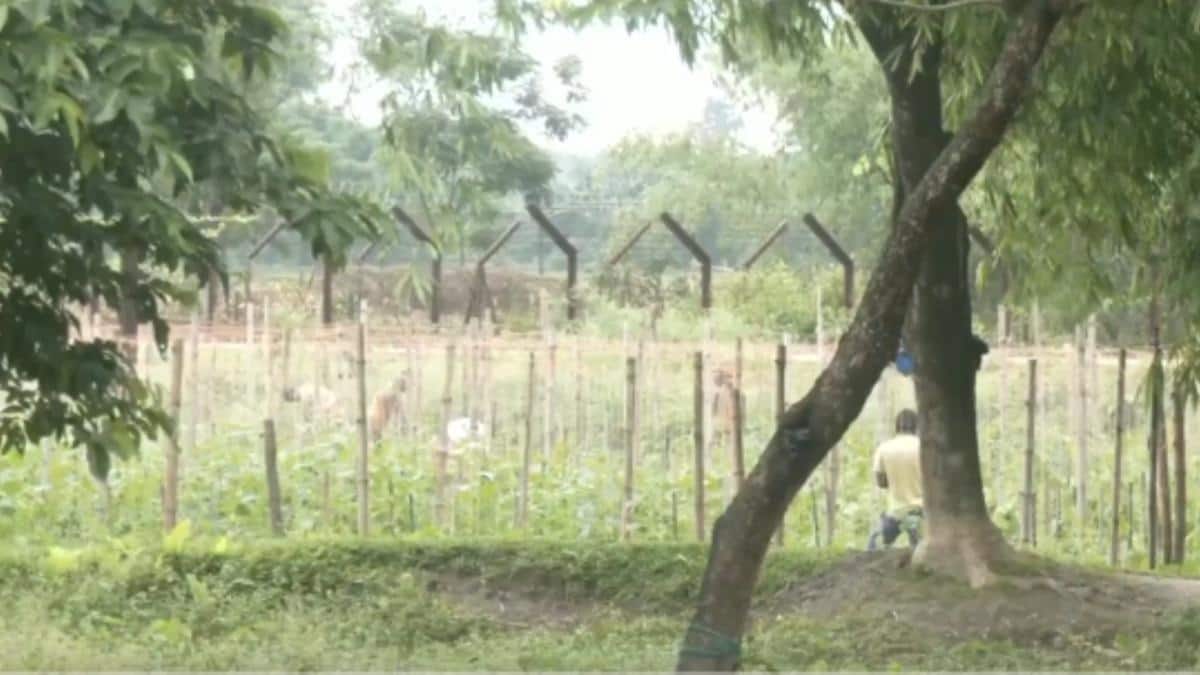 Fencing Begins Along India-Bangladesh Border In Siliguri After Land Transfer To BSF: WATCH