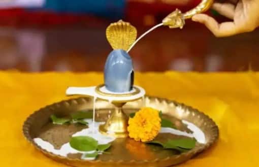 ઘણા લોકો પોતાના ઘરમાં સ્થાપિત કરવા માંગે છે, પરંતુ શાસ્ત્રો આ માટે ચોક્કસ નિયમો સૂચવે છે. આ નિયમોને અવગણવાથી વાસ્તુ દોષ અને વિક્ષેપ થાય છે તેવું માનવામાં આવે છે, તેથી તેની જાણકારી રાખવી મહત્વપૂર્ણ છે.