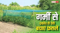 आपकी फसल के लिए काल बनकर आएगी गर्मी, नहीं रखे ये इंतजाम तो खाक हो जाएगा खेत