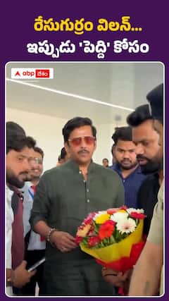 రేసుగుర్రం విలన్‌.. ఇప్పుడు పెద్ది విలన్‌