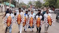 Cockroach Janata Party: कॉक्रोच जनता पार्टीने 'क्रांती'ची मशाल पेटवली, देशभरात जोरदार हवा, साताऱ्यात युवा पँथरचं आंदोलन