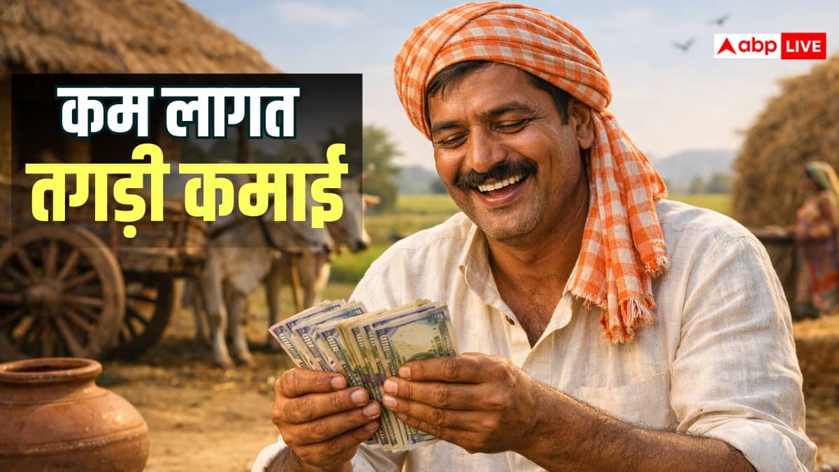 Business Ideas: गांव में शुरू करें ये 5 बिजनेस, कम लागत में होगी शानदार कमाई