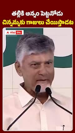 తల్లికి అన్నం పెట్టనోడు.. చిన్నమ్మకు గాజులు చేయిస్తాడట..