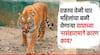 Chandrapur Tiger Attack: चंद्रपूरमध्ये वाघाचा 13 महिलांवर एकाचवेळी हल्ला, चार जणींचा मृत्यू, उष्णता प्रचंड वाढल्याने वाघ आक्रमक?