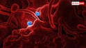Africa Ebola outbreak: अफ्रीका में बढ़ते Ebola केसों के बीच भारत की एंट्री, Bundibugyo वैक्सीन बनाने में जुटा सीरम इंस्टीट्यूट