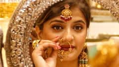 Dowry Calculator: আইন-কানুনই সার, IAS-IPS-ডাক্তার-ইঞ্জিনিয়ার, বিয়ের বাজারে কার রেট কত? হিসেব কষে দিচ্ছে পণ ক্যালকুলেটর