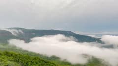 Rain in Maharashtra: पावसाच्या सरी बरसताच आंबोली घाटात धुक्याची चादर, डोळ्यांचं पारणं फेडणारं दृश्य