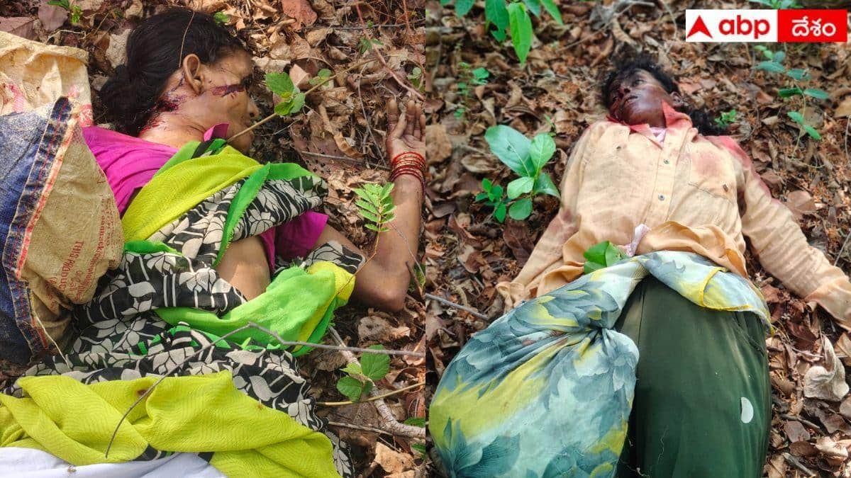 Tiger Trapped In Cage: నలుగురు మహిళల్ని చంపిన పులిని బంధించిన అధికారులు.. స్థానిక ప్రజలుకు బిగ్ రిలీఫ్