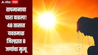 धक्कादायक! गेल्या 48 तासात यवतमाळ जिल्ह्यात 8 जणांचा मृत्यू, उष्माघातानं बळी गेल्याचं अंदाज