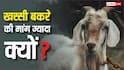 Bakrid 2026: बकरीद पर क्यों होती है खस्सी बकरे की डिमांड, नॉर्मल से कितने होते हैं अलग?