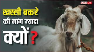 Bakrid 2026: बकरीद पर क्यों होती है खस्सी बकरे की डिमांड, नॉर्मल से कितने होते हैं अलग?