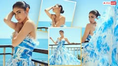 Cannes 2026: मौनी रॉय ने कान्स के रेड कार्पेट पर ढाया कहर, शेडेड गाउन में दिखीं बेहद खूबसूरत, देखें फोटोज