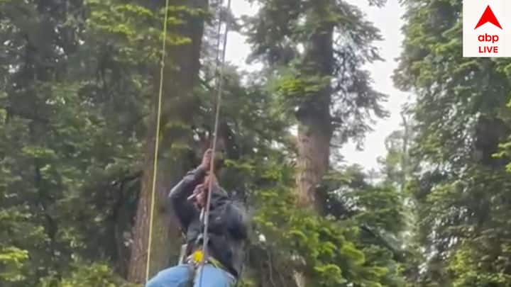 দ্রুত উদ্ধারকারী দল এদিন কাজ শুরু করে দিয়েছিল। সমস্ত যাত্রীরা যাতে নিরাপদ থাকেন, তা নিশ্চিত করতে একে একে যাত্রীদের রোপওয়ে থেকে নামানো শুরু হয়।