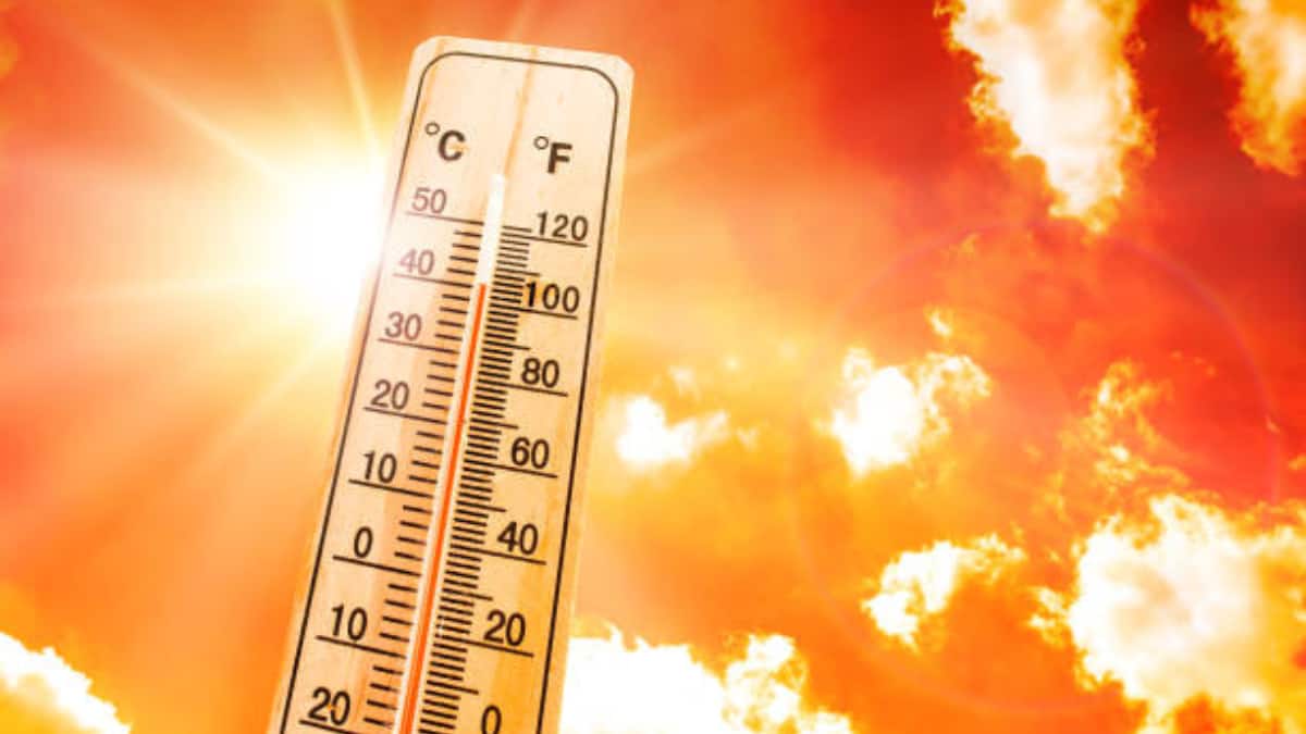 Heatwave In AP And Telangana: వర్షాలు కురుస్తున్నా తగ్గని భానుడి ప్రతాపం.. తెలంగాణలో 12 జిల్లాల్లో, ఏపీలో 79 మండలాల్లో తీవ్ర వడగాల్పులు