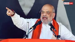 देश के डेमोग्राफिक बदलाव से चिंतित सरकार, घुसपैठ पर अमित शाह का बड़ा फैसला, हाई लेवल कमेटी का गठन