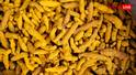 Turmeric Farming Tips : फार्म हाउस में कैसे उगाएं हल्दी? इन खास तरीकों से सेहत और जेब दोनों हो जाएगी खुश