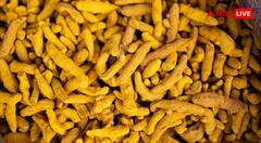 Turmeric Farming Tips : फार्म हाउस में कैसे उगाएं हल्दी? इन खास तरीकों से सेहत और जेब दोनों हो जाएगी खुश