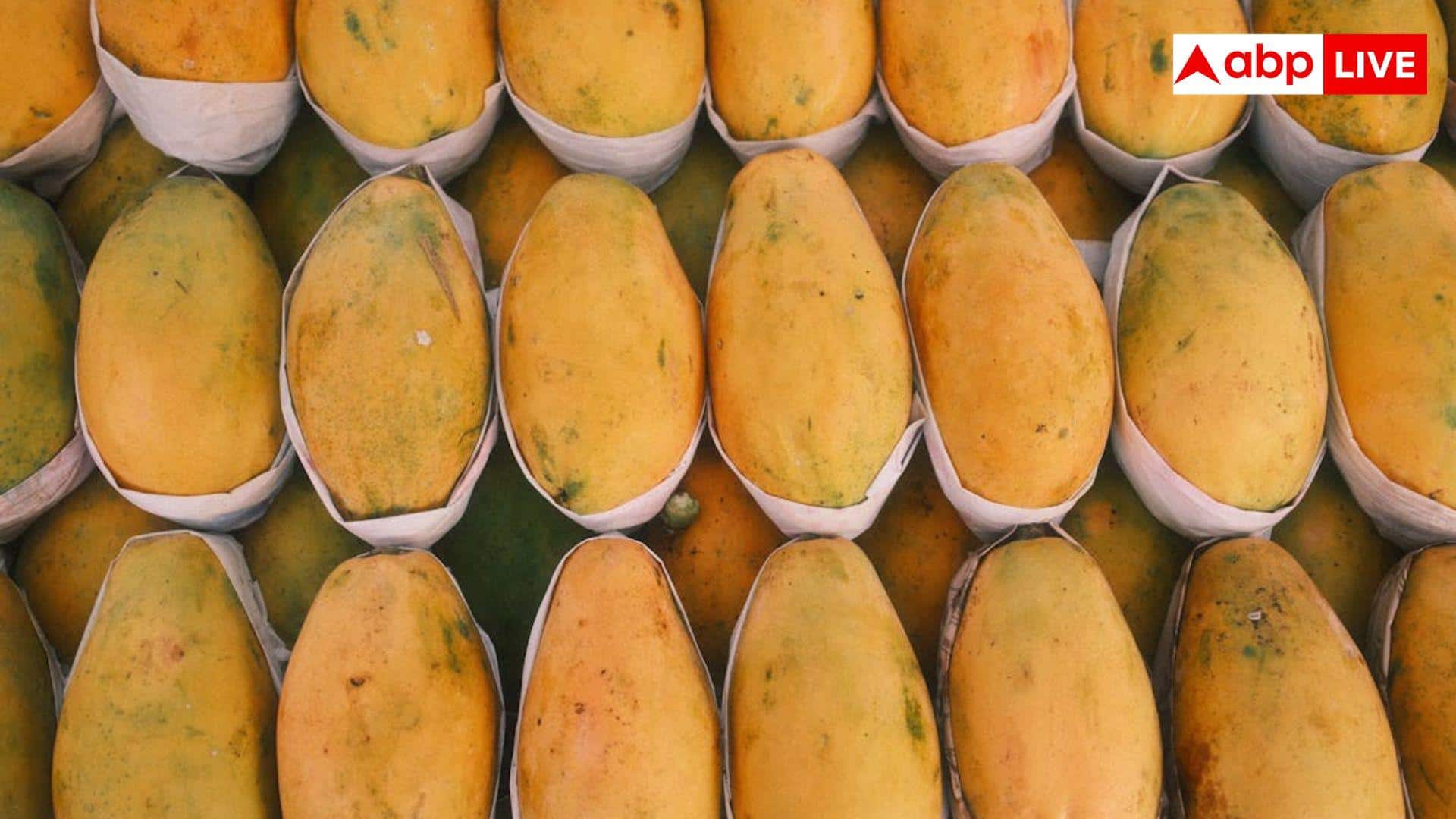Nagendra Bhog Mango Variety Named: देश के ‘मैंगो मैन’ का कमाल, अपने पिता के नाम पर उगाया अनोखा आम, स्वाद के दीवाने हो रहे लोग 