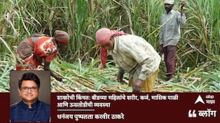 साखरेची किंमत: बीडच्या महिलांचे शरीर, कर्ज, मासिक पाळी आणि ऊसतोडीची व्यवस्था