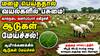 மழை சாரலில் மீண்ட பசுமை... மேய்ச்சலில் மூழ்கிய ஆயிரம் ஆடுகள்! கால்நடை வளர்ப்போரின் முகத்தில் மலர்ந்த மகிழ்ச்சி