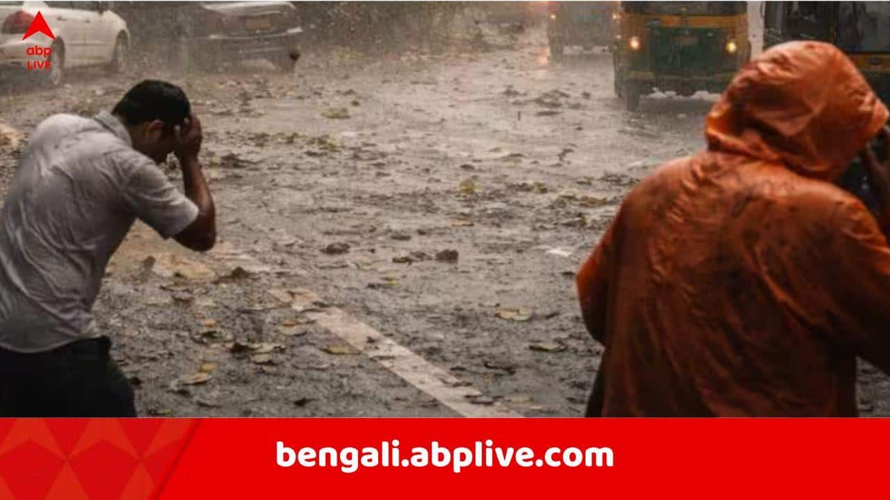 Weather Update: কাল তুমুল ঝড়-বৃষ্টির আশঙ্কা ! দক্ষিণবঙ্গের ১১ জেলায় প্রবল বর্ষণের পূর্বাভাস IMD-র