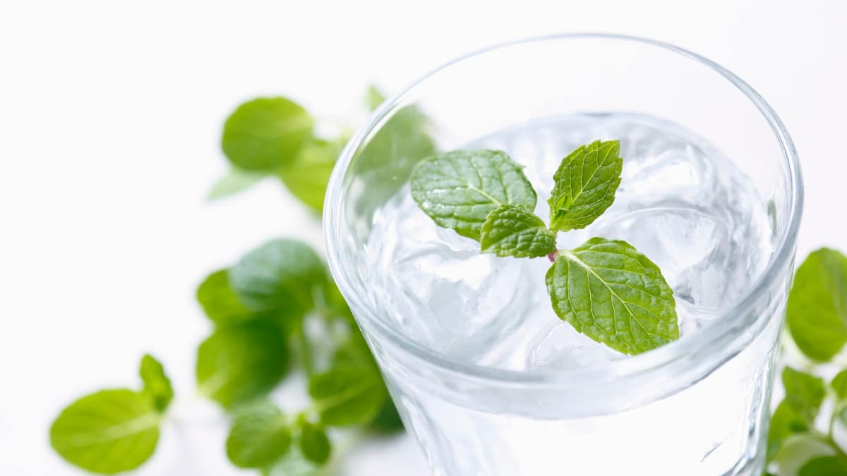 Struggling With High Uric Acid? Add These Healthy Drinks To Your Daily Routine