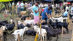 बकरीद से पहले दिल्ली में फ्लैग मार्च, यूपी में ड्रोन से निगरानी और बंगाल में ईद की नमाज में बड़ा बदलाव