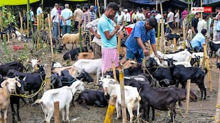 बकरीद से पहले दिल्ली में फ्लैग मार्च, यूपी में ड्रोन से निगरानी और बंगाल में ईद की नमाज में बड़ा बदलाव, जानें देशभर में कहां कैसी तैयारी
