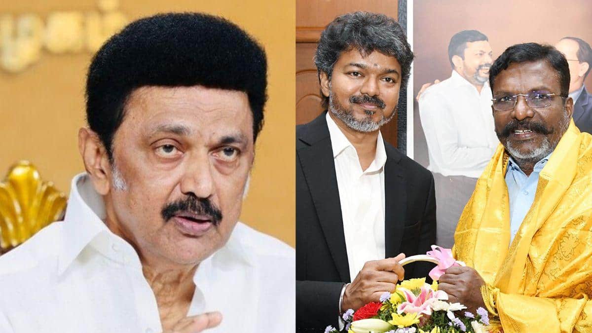 Thirumavalavan: தவெகவுடன் இணைந்த விசிக.. ஸ்டாலினிடம் சொல்லாத திருமா.. இதுதான் காரணமா?