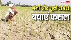 सूखते खेत और घटता पानी, इन स्मार्ट तरीकों से करें अपने खेत को हरा- नहीं बिगड़ेगी फसल