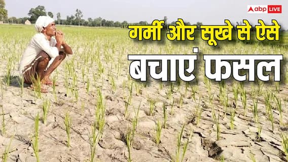 सूखते खेत और घटता पानी, इन स्मार्ट तरीकों से करें अपने खेत को हरा- नहीं बिगड़ेगी फसल सूखते खेत और घटता पानी, इन स्मार्ट तरीकों से करें अपने खेत को हरा- नहीं बिगड़ेगी फसल
