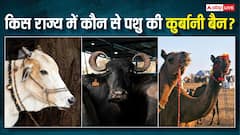 बकरीद पर कुर्बानी को लेकर देशभर में घमासान, जानें किस राज्य में कौन-से जानवर मारने पर सख्त हैं नियम?