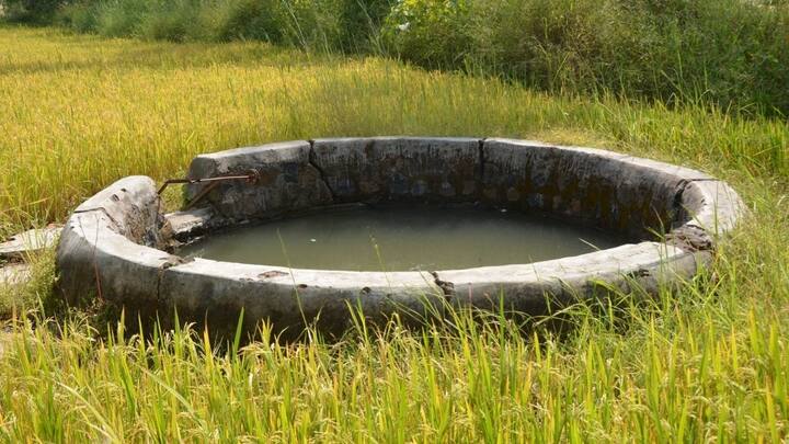आखिरी और सबसे जरूरी बात है कि हमें अपने खेतों में रेन वाटर हार्वेस्टिंग यानी बारिश के पानी को सहेजने का इंतजाम जरूर करना चाहिए. खेत के एक हिस्से में छोटा तालाब या डिग्गी बनाकर हम बारिश के पानी को जमा कर सकते हैं. यह जमा पानी सूखे के दिनों में लाइफ सेवर बनकर आपकी फसलों को सूखने से बचाएगा.