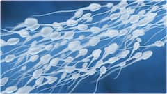 Lower Sperm Count Causes : స్పెర్మ్ కౌంట్, క్వాలిటీని దెబ్బతీసే ప్రమాదకర అలవాట్లు ఇవే.. అబ్బాయిలు జాగ్రత్త